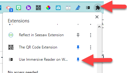 pin immersive reader